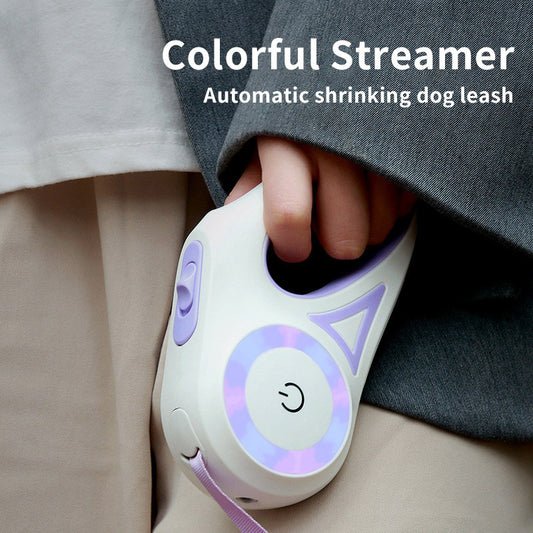 Dog Leash With Built-in Spotlight