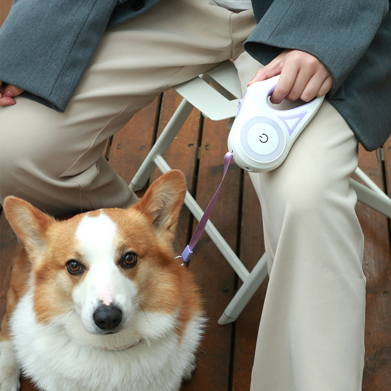 Dog Leash With Built-in Spotlight